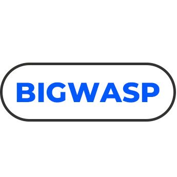 تصویر برای تولیدکننده: کیف BIGWASP